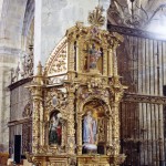 piña de campos 1