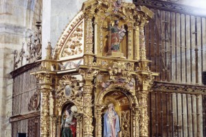 piña de campos 1
